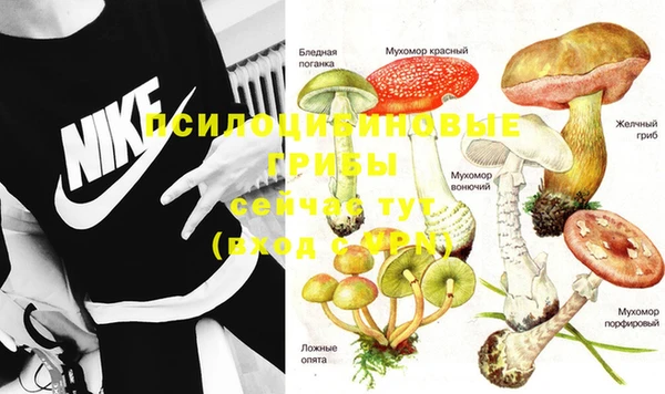 трава Алексин