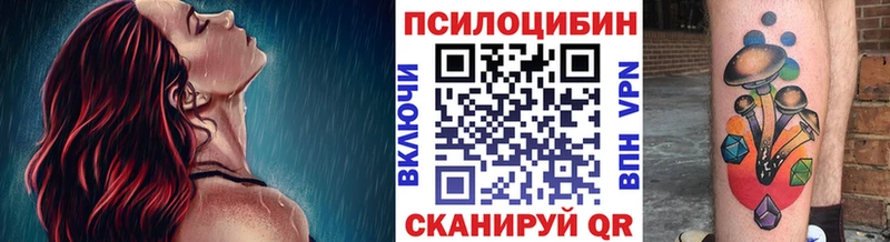 Псилоцибиновые грибы GOLDEN TEACHER  Ступино 