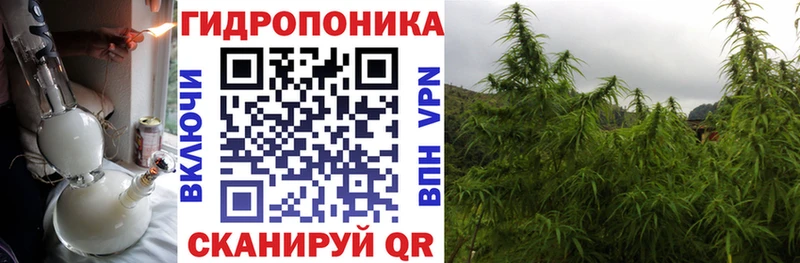 Бошки Шишки ГИДРОПОН  МЕГА   Ступино  закладки 